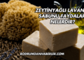 Zeytinyağlı Lavanta Sabunu Faydaları Nelerdir?