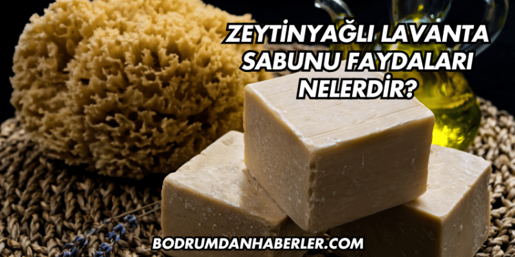 Zeytinyağlı Lavanta Sabunu Faydaları Nelerdir?