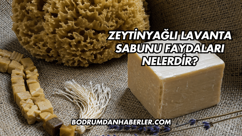 Zeytinyağlı Lavanta Sabunu Faydaları Nelerdir?