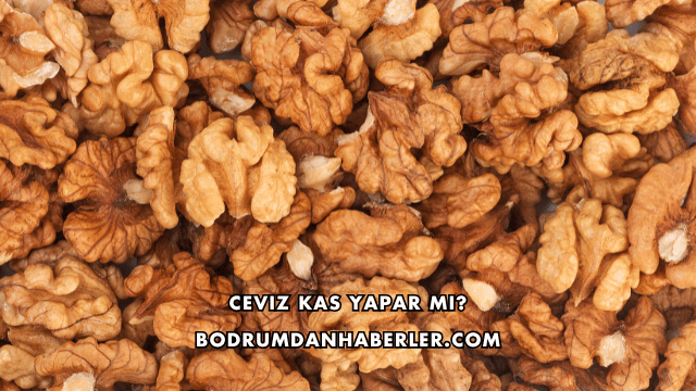 Ceviz Kas Yapar mı?