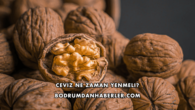 Ceviz Ne Zaman Yenmeli?