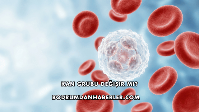 Kan Grubu Değişir mi?