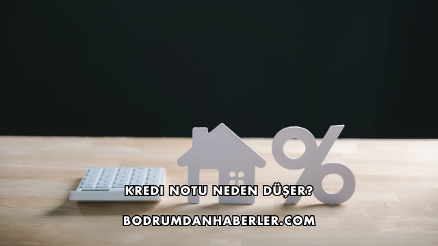 Kredi Notu Neden Düşer?