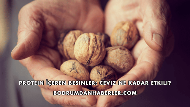 Protein İçeren Besinler: Ceviz Ne Kadar Etkili?